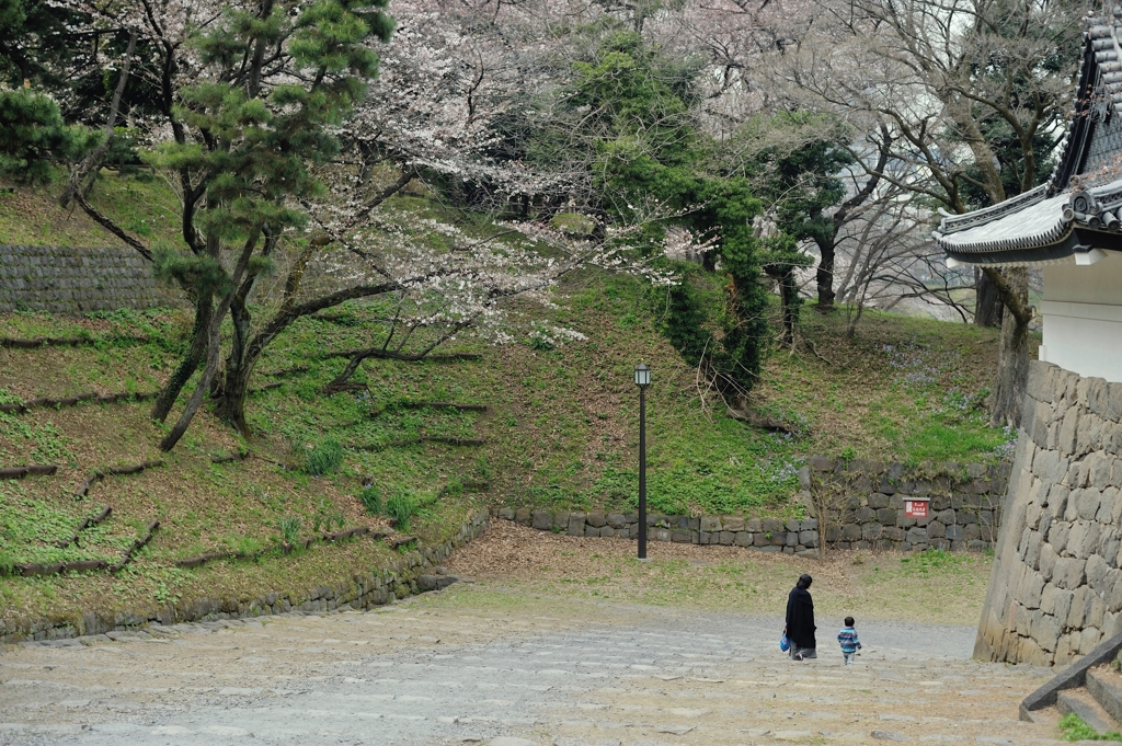 spring for tokyoites