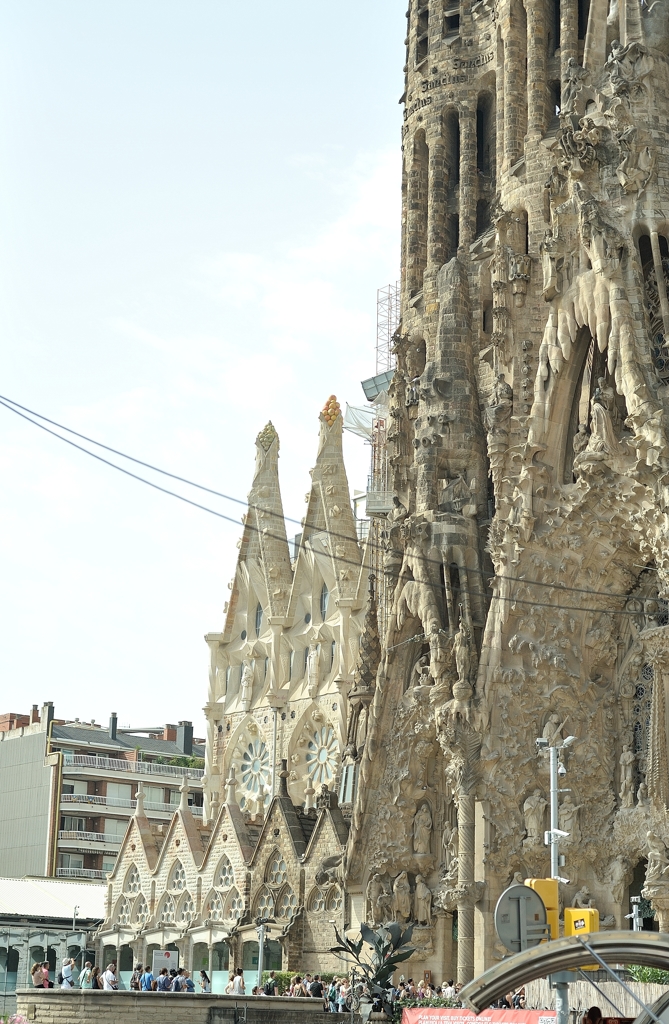 the barcelona