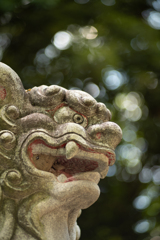 暑い日、氷川神社で