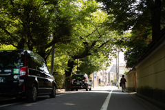 社寺の裏道で
