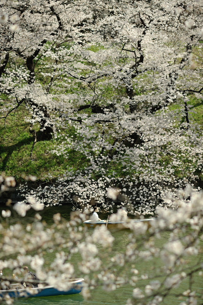 spring for tokyoites 2021