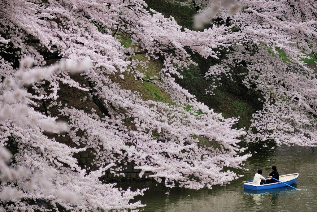 the Chidorigafuchi Moat