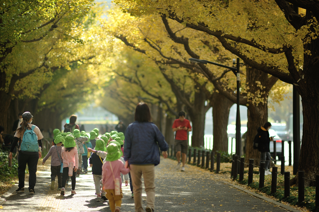 autumn for tokyoites 2020