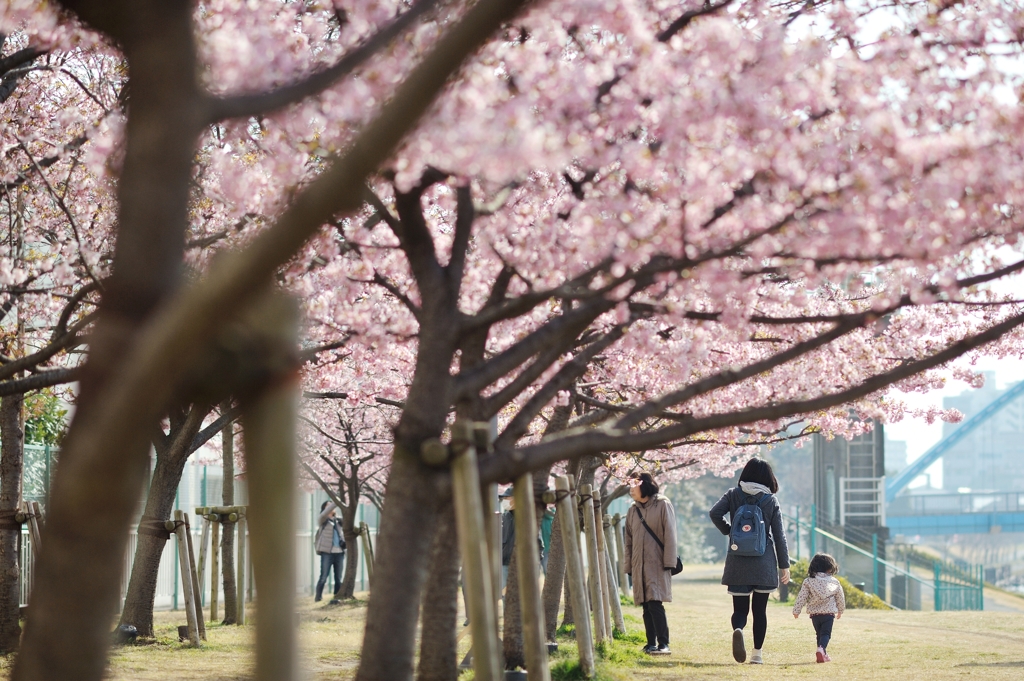 spring for tokyoites