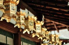 下鴨神社