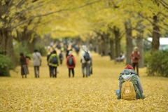 autumn for tokyoites