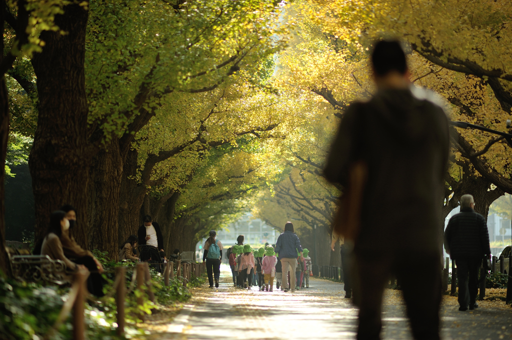 autumn for tokyoites 2020
