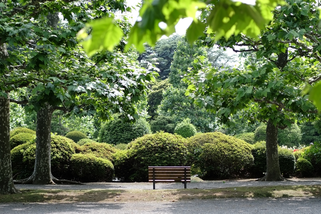 ベンチ