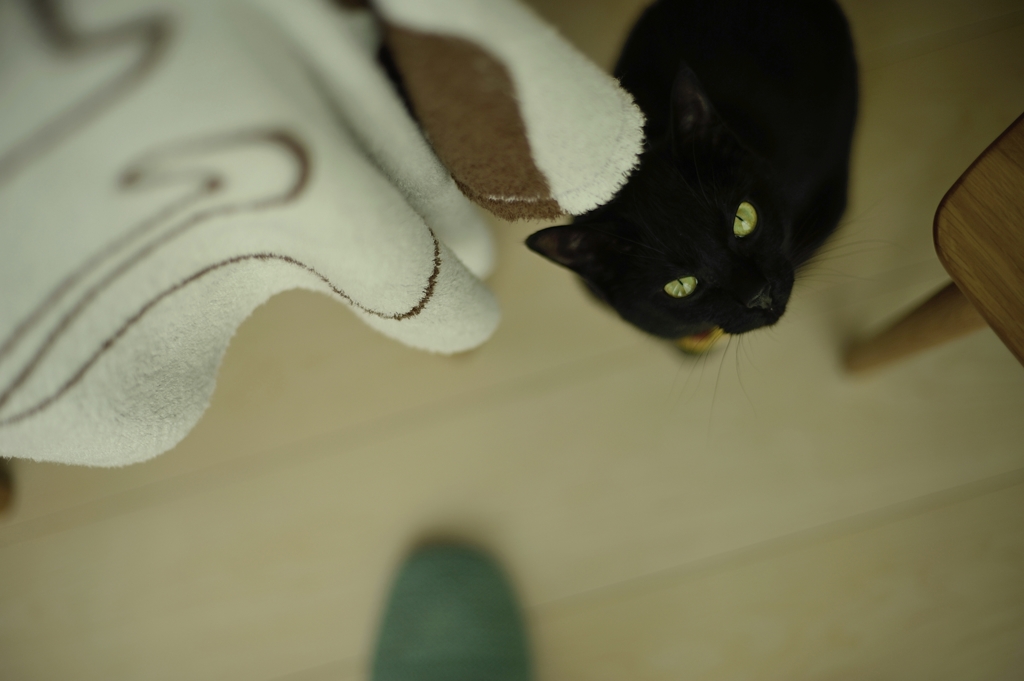 おはよう。
