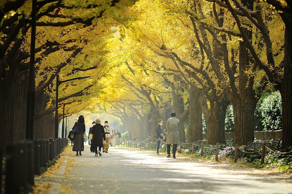 autumn for tokyoites 2020