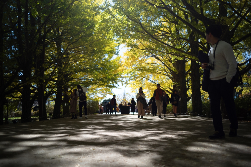 autumn for tokyoites 2023