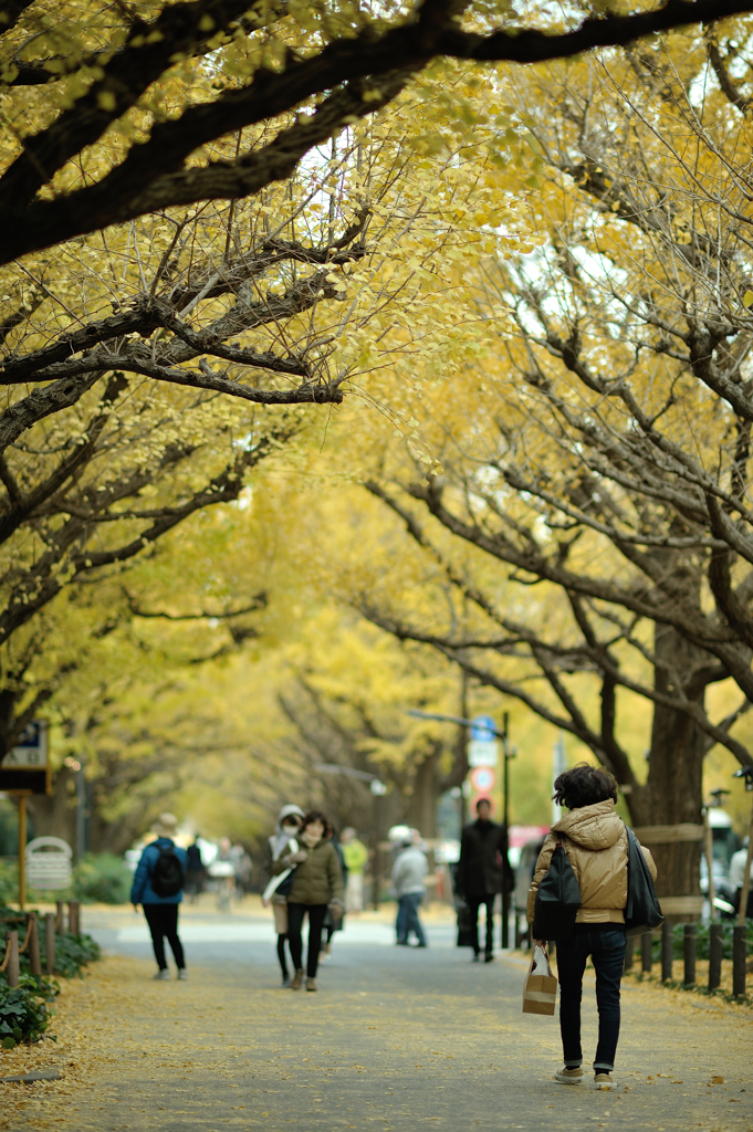 autumn for tokyoites 2017