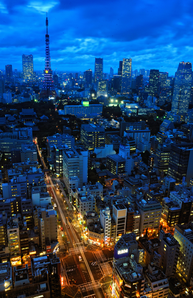 blue-night tokyo