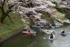 spring for tokyoites 2025