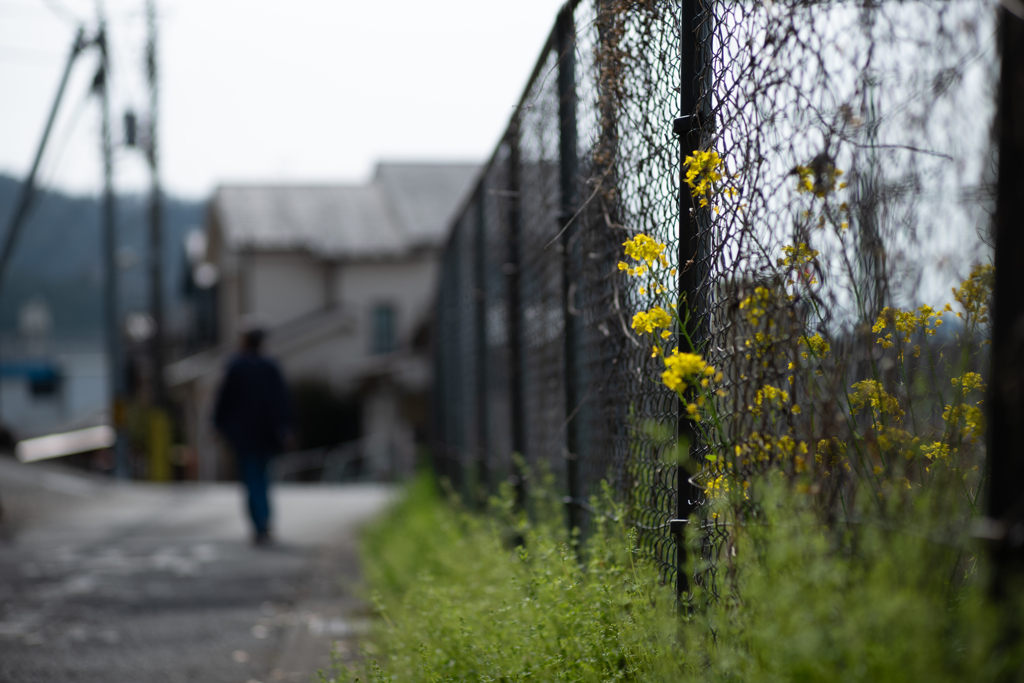 spring for tokyoites 2024