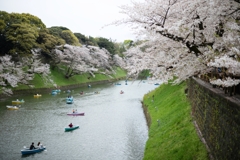 spring for tokyoites 2023