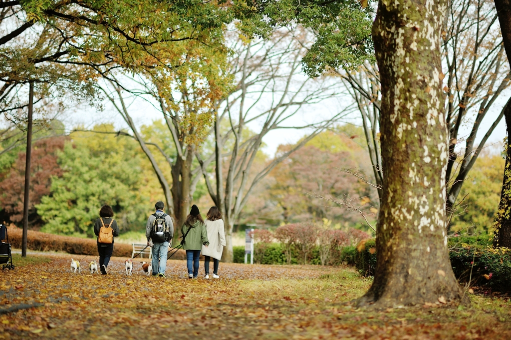 autumn for tokyoites 2019