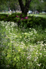 春から初夏へ