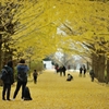 autumn for tokyoites 2019