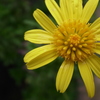 7月