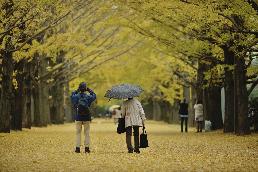 autumn for tokyoites