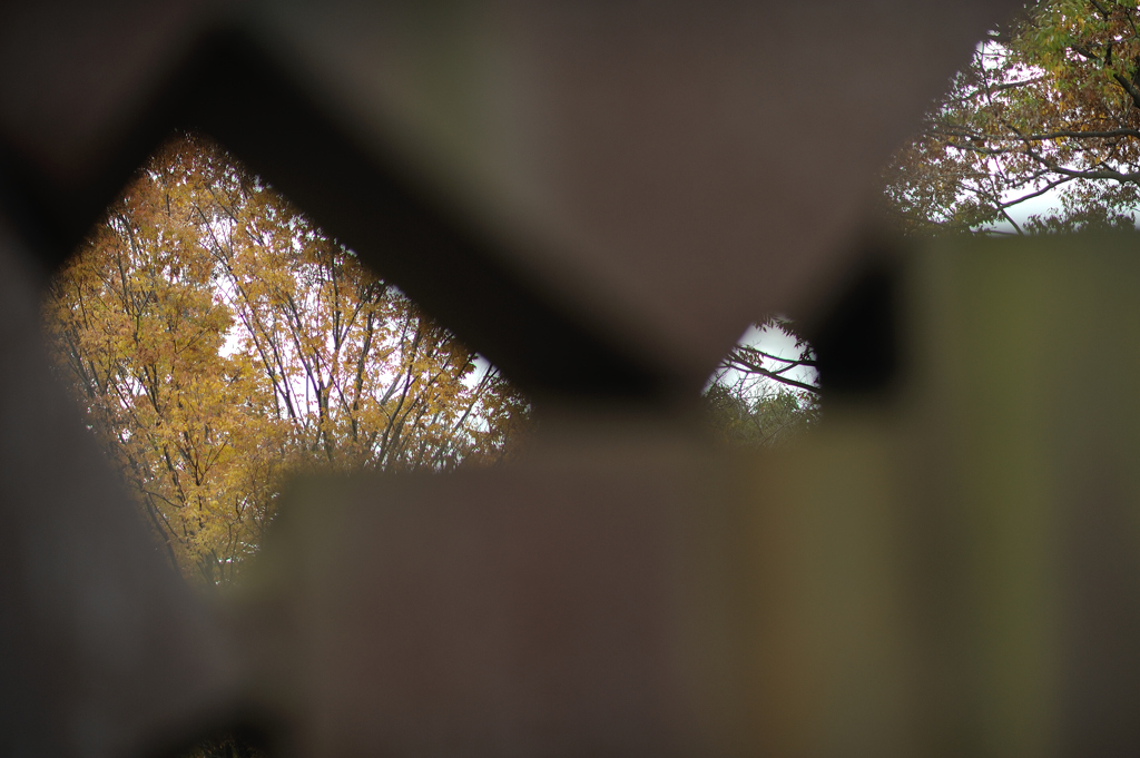 autumn for tokyoites