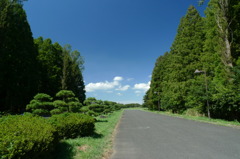 秋晴れの水元公園にて