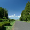 秋晴れの水元公園にて