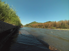 あゆ近し流れ早し那珂川