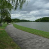 夏の水元公園