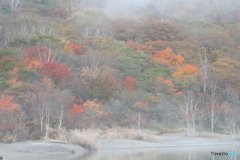 早く晴れろ　秋の湖畔にて
