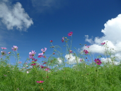 P1100392