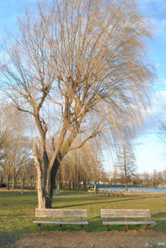 ２月　舎人公園にて