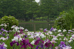 IMGP3319