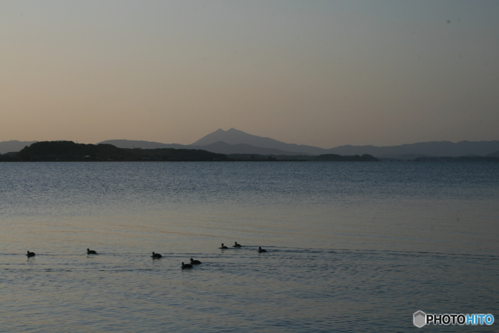 春は夕暮れ　鳥たちも騒がしい