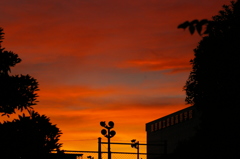 晩秋夕空