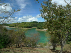 P1100397