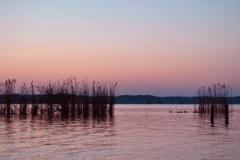 CSC_0787
