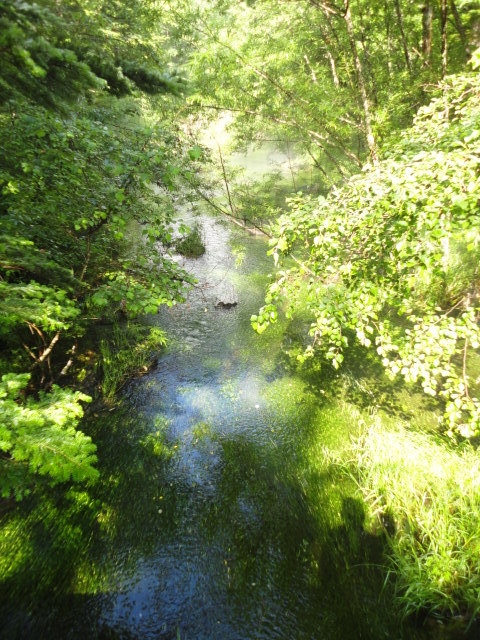 DSC00528