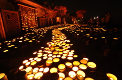 灯籠の道