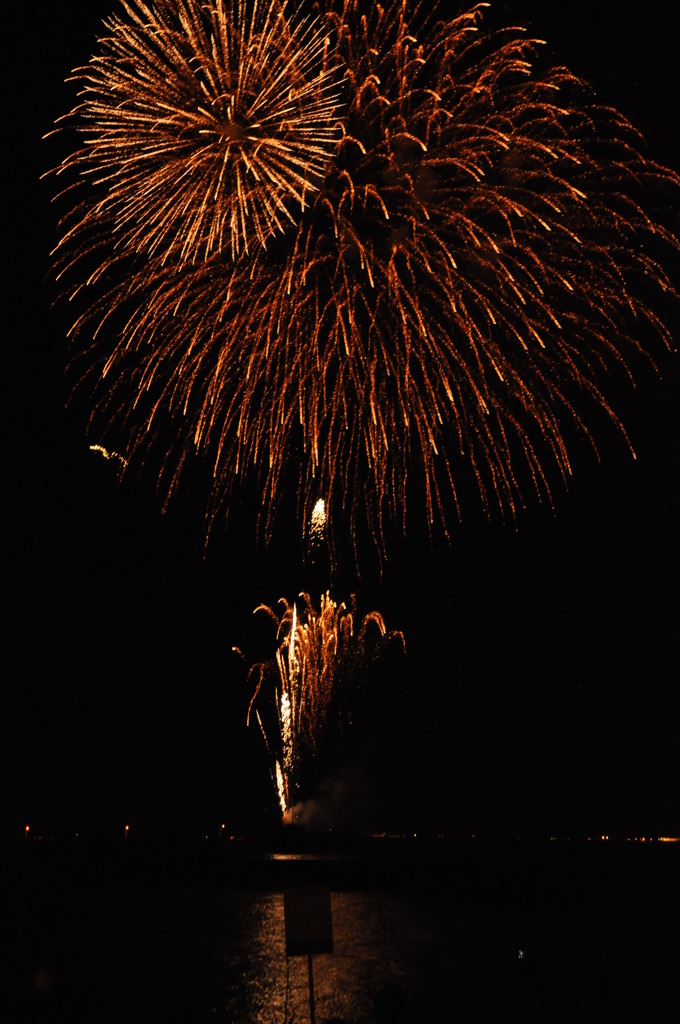 夜空に咲く満開の花