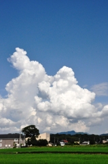 夏雲