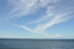 鳥雲