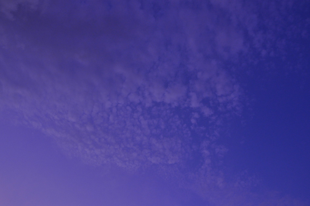 梅雨の晴れ間に