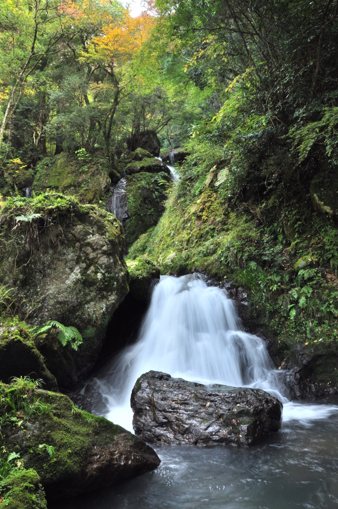 清水瀑園　滝