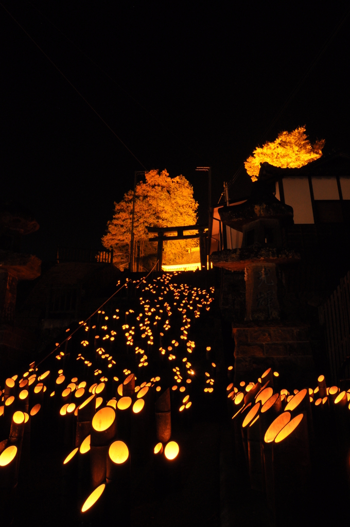 2012_11_18　竹田竹楽　神社
