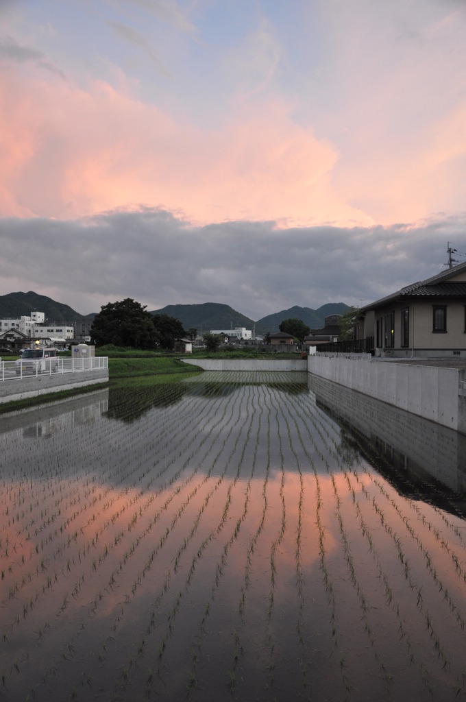 田植えの時期