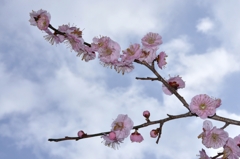 青空目指して