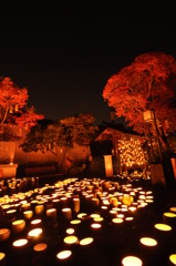紅葉と灯篭