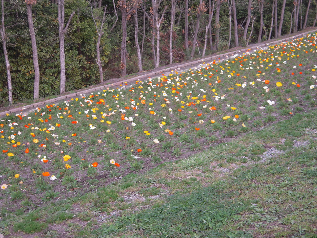 万博公園